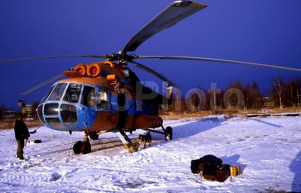 ��������, ��������, ������������� ����������, ��������, ��������, ����, ����, ����