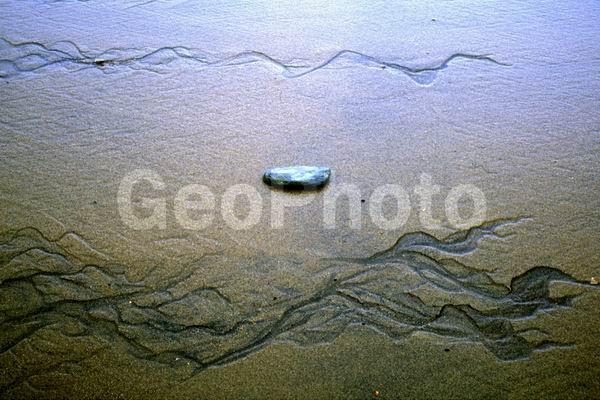 ������, ������, �����, ���������