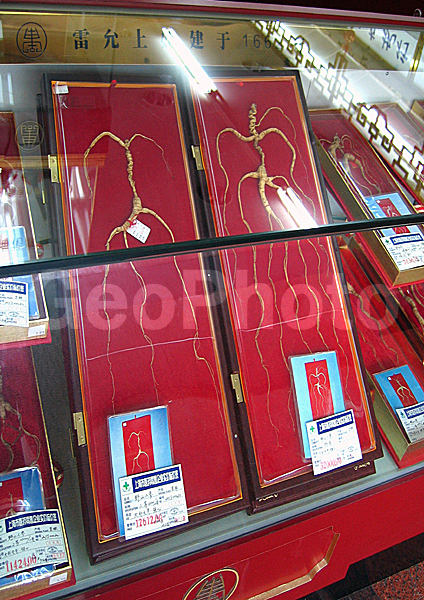 ������, ������� ��������� ��������, �����, ����, ��������, �������, ���������, ������, ������ �������