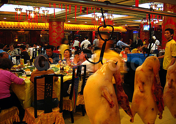 ������, ������� ��������� ��������, �����, ����, ��������, �������, ���������, ������, ������ �������