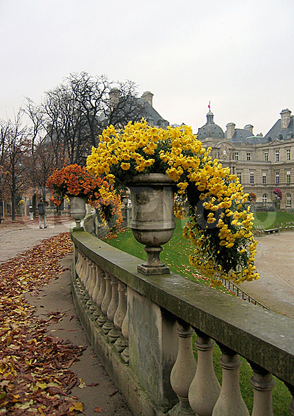 �����, �������