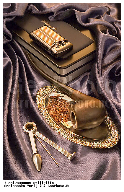 �����������, ���������, �������, ���������, ��������, ������, ����������, ����������, ����������������, ���������, �����, ����������, ������