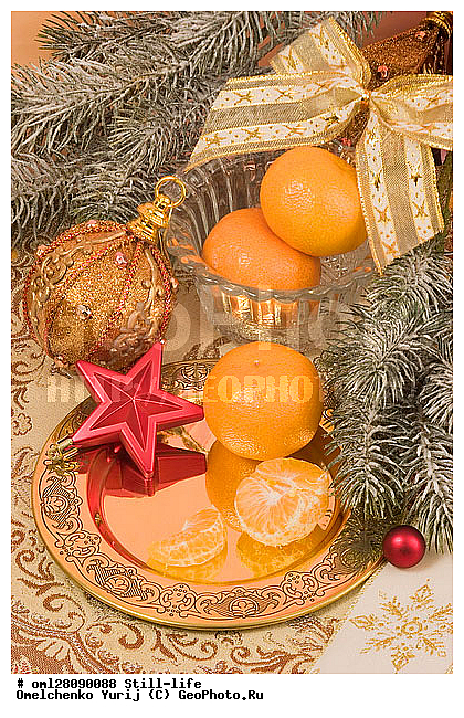 ������, �����������, ���������, �������, ���������, ������, �������, ����������, ����������, ����������������, �������, ����, ���������, �����