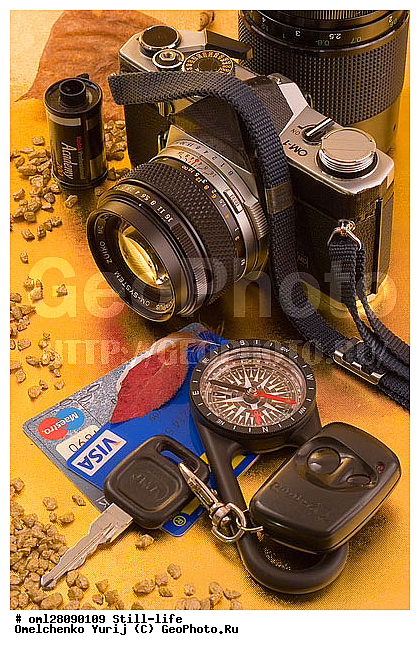 ����������, �������, ������, ������, �����������, �����������, �������, ���������, ��������, ������, �������������, �����������, ������, ���������, ���������, ������, ����������, ������, �����������