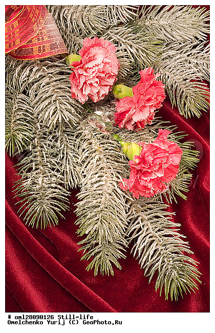 ��������, ������, ����, �����������, ���������, �������, ���������, ��������, ������, �������, ����������, ����������, ����������������, ����, ���������, �����, ����������