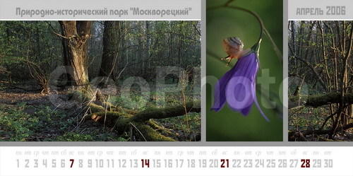 ������� �������