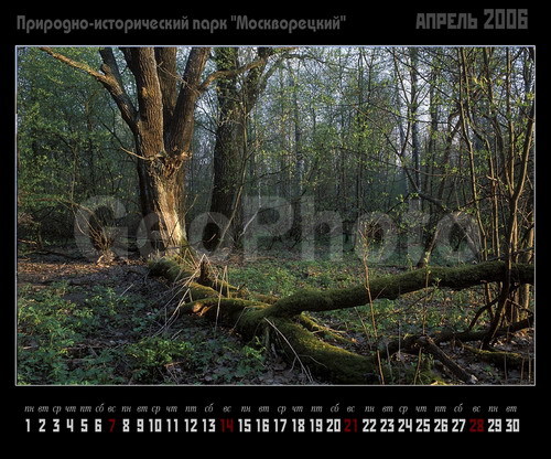 ������� �������