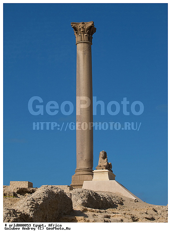 �����������, ������, ������, ����������, �������, ������