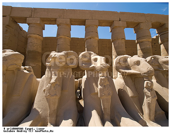 Africa, Egypt, Karnak Temple Complex, Luxor, Pharaoh, ancient, city, country, historical, monumet, religion, showplace, sight, stone statues, tourism, travel, ������, ������, ����������, ������, �����, ���������������������, �������, ���������, ������������, �����, �����������, �������, ������, ������, ������, ������, ����