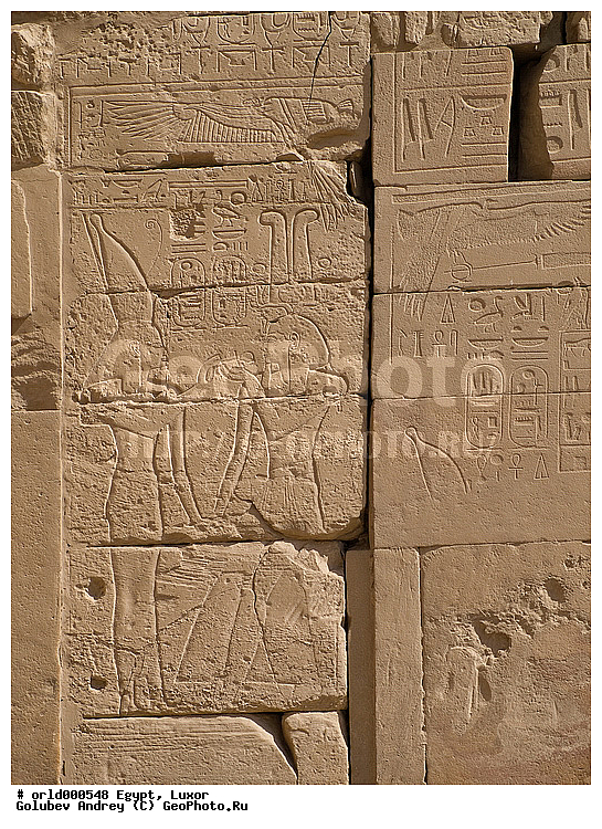 Africa, Egypt, Karnak Temple Complex, Luxor, Pharaoh, ancient, city, country, hieroglyph, historical, monumet, religion, script, showplace, sight, stone statues, tourism, travel, writing, ������, ������, ����������, ������, �����, ���������������������, �������, ���������, ��������, ������������, �����, ������������, �����������, �������, ������, ������, ������, ������, ����