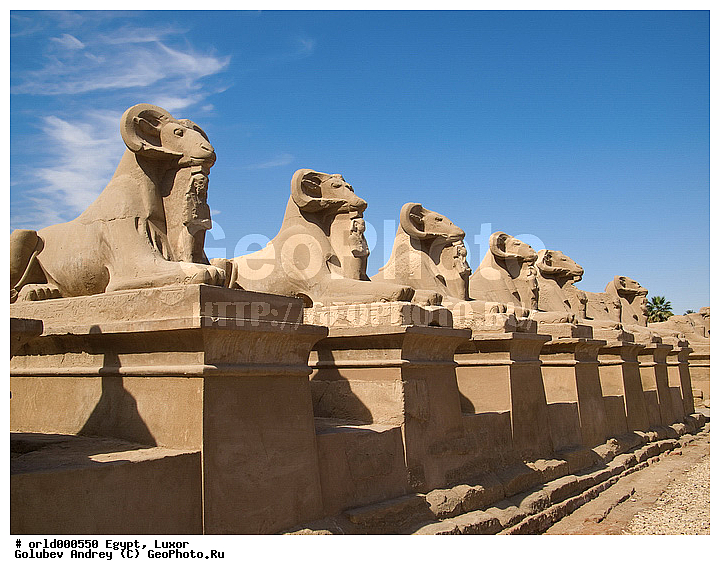 Africa, Egypt, Karnak Temple Complex, Luxor, Pharaoh, ancient, city, country, historical, monumet, religion, showplace, sight, stone statues, tourism, travel, ������, ������, ����������, ������, �����, ���������������������, �������, ���������, ������������, �����, �����������, �������, ������, ������, ������, ������, ����