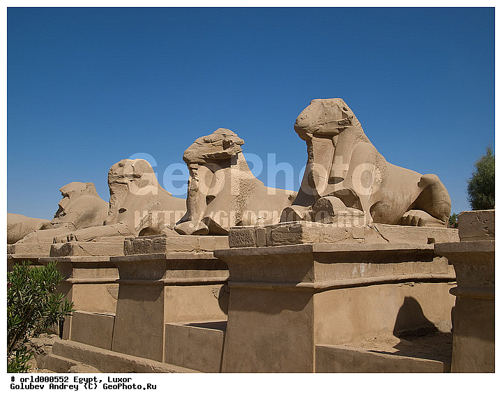 Africa, Egypt, Karnak Temple Complex, Luxor, Pharaoh, ancient, city, country, historical, monumet, religion, showplace, sight, stone statues, tourism, travel, ������, ������, ����������, ������, �����, ���������������������, �������, ���������, ������������, �����, �����������, �������, ������, ������, ������, ������, ����