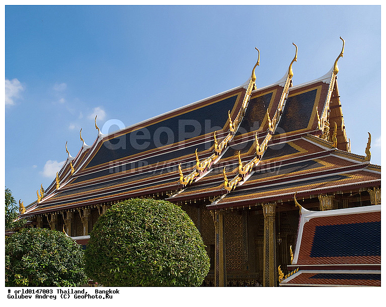 ����, �������, �������, �����������, �����, �������, ���������������������, �����������, �������, �����, �������, ������, ����