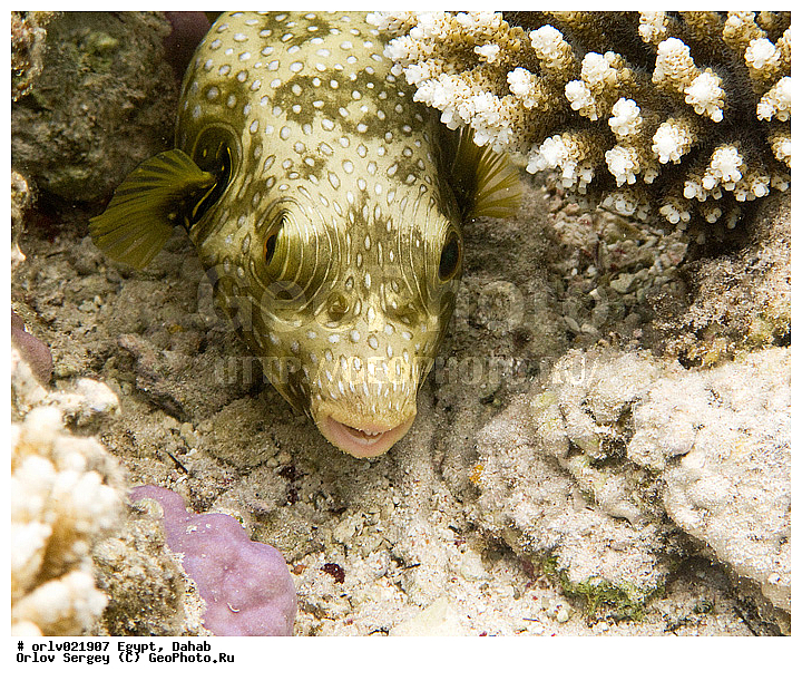 �����, ������, ������� ����, ����-�������, ������, ����, ����, ����, ���, ������������, ������, ��������, �����, ��������, ����, �����������, �����, ���������, �������, �������, ����������, �����, ���, �����, ����, �������, ��������, �����, �����, �������, �����, ����������, ���������, �������, ���������, ���, ����, �������, �����, ������, �����������, ������, �����, ������