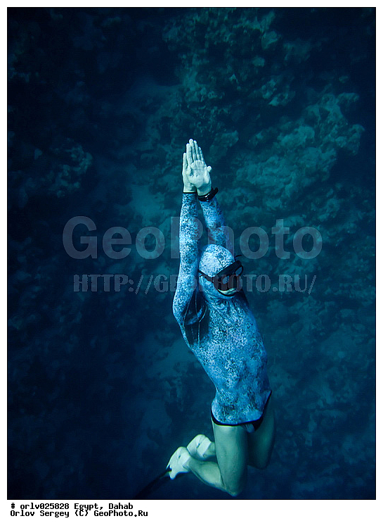 �����, ������, ������� ����, �����, �������, ������, ���������, �������, �������, �������, ������, �������, ����, ������, ������, �����, ���������, ����, ������, �����, �������, �����������, ���������, �����������, ���, ����, �����, ����������, ���, ���������, ����������, �������������