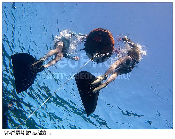 �����, ������, ������� ����, �����, �������, ������, ���������, �������, �������, �������, ������, �������, ����, ������, ������, �����, ���������, ����, ������, �����, �������, �����������, ���������, �����������, ����, �����, ����������, ���, ���������, ����������, �������������