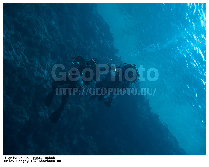 �����, ������, ������� ����, �����������, �����, ����, ������, �����, ��������, �����������, �������, �������, ������, �������, ������������, ����������, �������, �����������, ��������, ������, �������, �����, �����, ����, ���������, ������, �����, �����������, �����������, ���������, ��������, ���������, ����, �����, ��������, ����