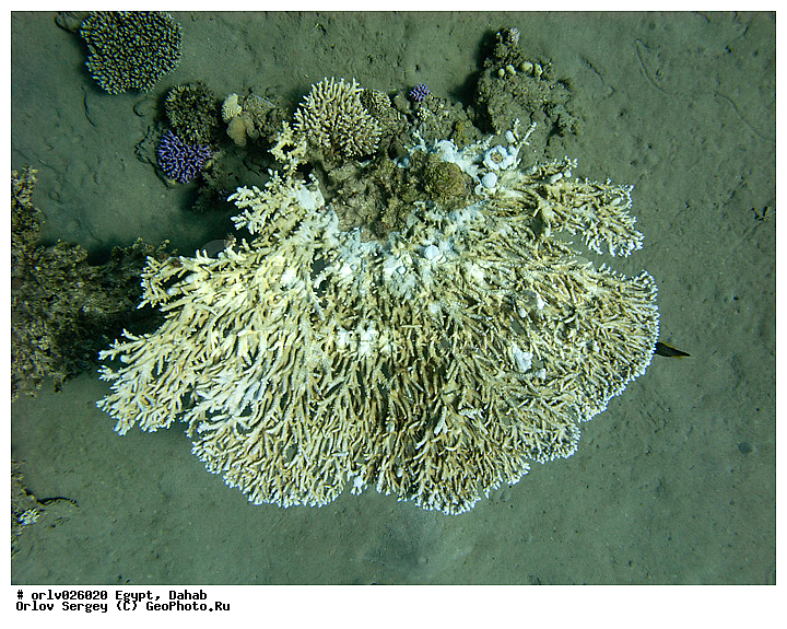 �����, ������, ������� ����, ������, ����, �������, �������, �������, ������, �����, ������, �������, ������, ����������, ���������� ���, ��������, �������, �������, ����, �������, ���������, �����, ���������, �����������, ���������, �������, ���, ����, �����, ���������, ��������, �����������, �������, ����, �������, ������, ����������