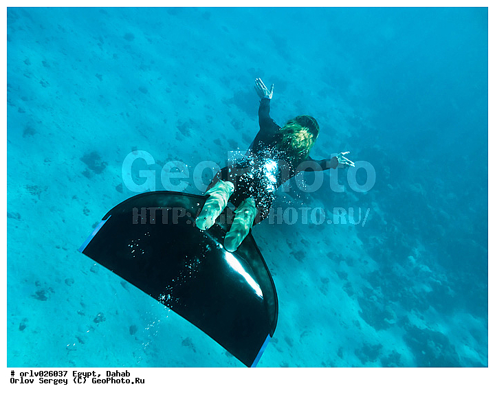 �����, ������, ������� ����, �����, ����, ������, �����������, �������, �������, �������, �������, ������, �������, ���, �������, ���������, ��������, �����������, ������, ���������� ���, ������, ��������, ����, �����, ���������, ����, ������, �����, �����, ��������, �������, �����, ����������, ���, ���������, �����������, �������, ���, �����, �����, ����������, �����, ���������, ������������, ������, ���������, ����������, �������, �������������