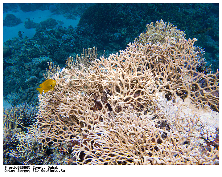 �����, ������, ������� ����, ������, ����, �������, �������, �������, ������, ������, �����, ������, �������, ������, ����������, ���������� ���, ��������, �������, �������, ����, �������, ���������, �����, ���������, �����������, ���������, �������, ���, ����, �����, ����, �����, ���������, ��������, �����������, �������, ����, �������, ������, ����������