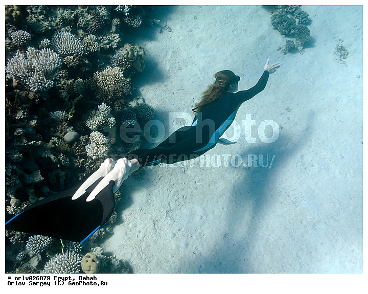 �����, ������, ������� ����, �����, ����, ������, �����������, �������, �������, �������, �������, ������, �������, ���, �������, ���������, ��������, �����������, ������, ���������� ���, ������, ��������, ����, �����, ���������, ����, ������, �����, �����, ��������, �������, �����, ����������, ���, ���������, �����������, �������, ���, �����, �����, ����������, �����, ���������, ������������, ������, ���������, ����������, �������, �������������