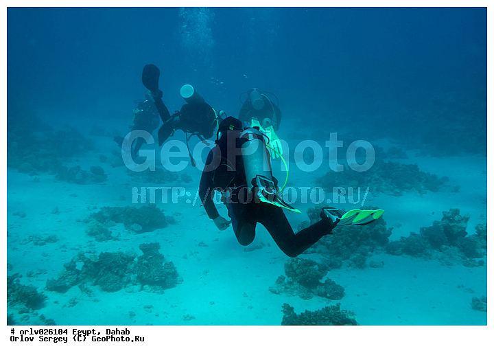 �����, ������, ������� ����, �����������, ������������, �����, ����, ������, �����, ��������, �����������, �������, �������, ������, �������, ������������, ����������, �������, �����������, ��������, ������, �������, �����, �����, ����, ���������, ������, �����, �����������, �����������, ���������, ��������, ���������, ����, �����, ��������, ����, �������������