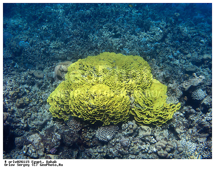 �����, ������, ������� ����, ������, ����, �������, �������, �������, ������, �����, ������, �������, ������, ����������, ���������� ���, ��������, �������, �������, ����, �������, ���������, �����, ���������, �����������, ���������, �������, ���, ����, �����, ���������, ��������, �����������, �������, ����, �������, ������, ����������