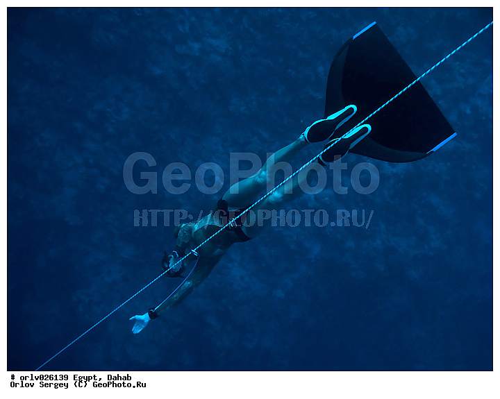 �����, ������, ������� ����, �����, �������, ������, ���������, �������, �������, �������, ������, �������, ����, ������, ������, �����, ���������, ����, ������, �����, �������, �����������, ���������, �����������, ���, ����, �����, ����������, ���, ���������, ����������, �������������