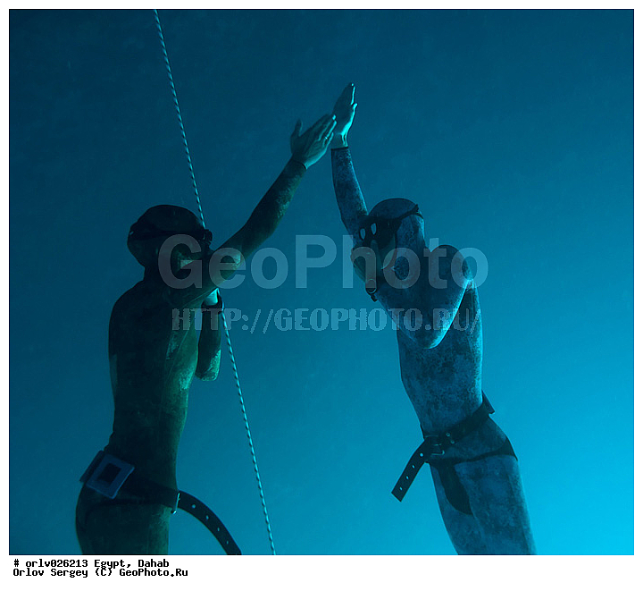 �����, ������, ������� ����, �����, �������, ������, ���������, �����������, �������, �������, �������, ��������, ������, �������, ����, ������, �����, ���������, ����, ������, �����, �������, �����������, ���������, �����������, �����������, ����, �����, ����������, ���, ���������, ����������, �������������