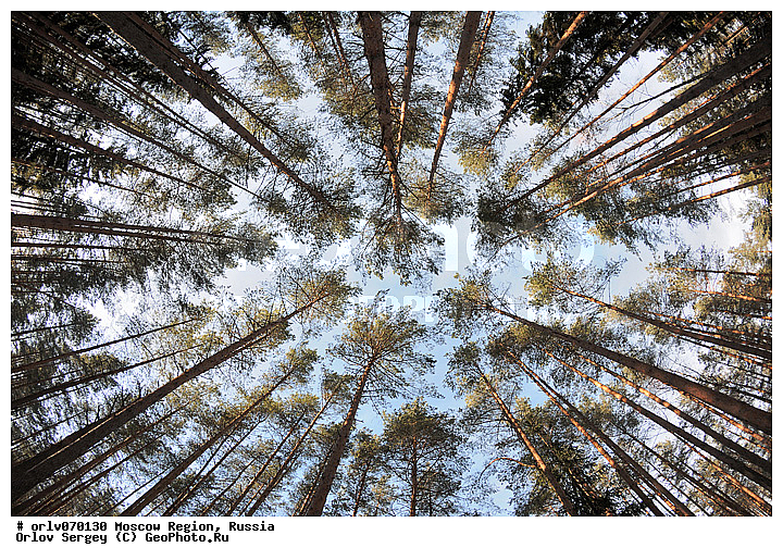 �����������, ������, ���������, �����, �������, �������, �����, ����, ������, �����, ���������, ���������, ����, ����, ���������, �����������, ����������, ���, ����, ������, ������, �����������, �������, ������, ����, �����, ���������, �����, �����, �����, �����������, �����������, ��������, ���������, �������, ������, �����