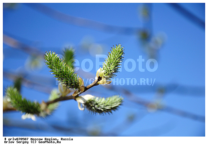 �����������, ������, �����, �����, �����, �������, �������, ������, �����, �������, �������, ����, ��������, ������, ����, �����, �������, �����, ������, ����, �����, �������, ������������, ��������, �����, ������, �����������, �����, �����, ����, ������, ������