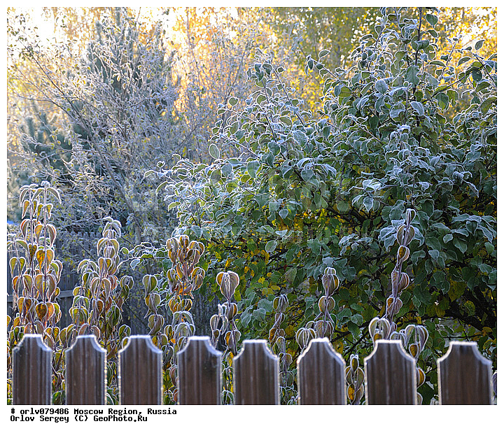 �����������, ������, �����, �����, �������, ������, ���������, �����, ���������, ���������, �������, ��������, ���������, ����������, ����, ���������, �������, �����, ���, ���, ����, ������, ������, �������, ������, �����, ������, ����, ������, �������, ��������, ����, �����, ��������, ��������, �����, �����������, ����, �������������, ����, �����, ���, �������, ����, �����, �����