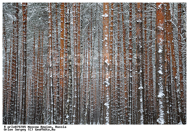 �����������, ������, �����, �����, �����, �������, �����, ����, ������, �������, �����, ���������, �����������, ����, ������, ����, ������, ������, ����������, ���, �����, ����, ������, �����������, ������, �������, ������������, ����������, ����, �����, ����, �����, �����, �����, ������, ��������, �������, �������, �������, ��������, �����