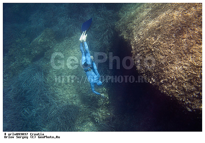 �������������, ��������, �����, �����, ����, ������, ���������, �����������, �������, �������, �������, ��������, ������, �������, ���, �������, ���������, ��������, ������, ������, ����, �����, ���������, ����, ���������, ������, ��������, ������, ��������, �����, ����������, ���������, �����������, �������, ��������������, ������, �����, �����, ����������, ���������, �����, �����, ���������, ������, ���, ���������, ����������, �������, �������, �������������