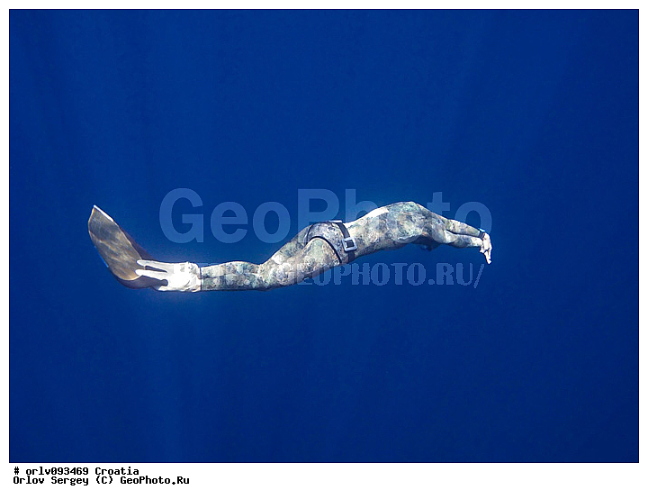 �������������, ��������, �����, ����, ������, �����������, �������, �������, �������, ��������, ������, �������, �������, �������, ���������, ��������, ������, ����, �����, ���, ���������, ����, ���������, ������, �����, ������, ��������, �����, ����������, ���������, �����������, ����, ������, �����, �����, ����������, ���������, ���������, �����, ���������, ������, ���, ���������, ����������, �������, �������, �������������