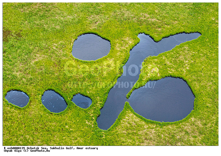 �������� ����, ����������� �����, ����������, ����, �������, �����, ������, ������