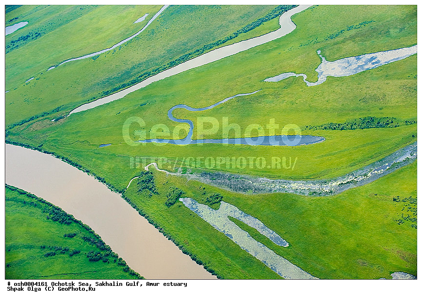 �������� �����, �������� ����, ����������� �����, ����, �������, �������, ������, �����������, ����, ������