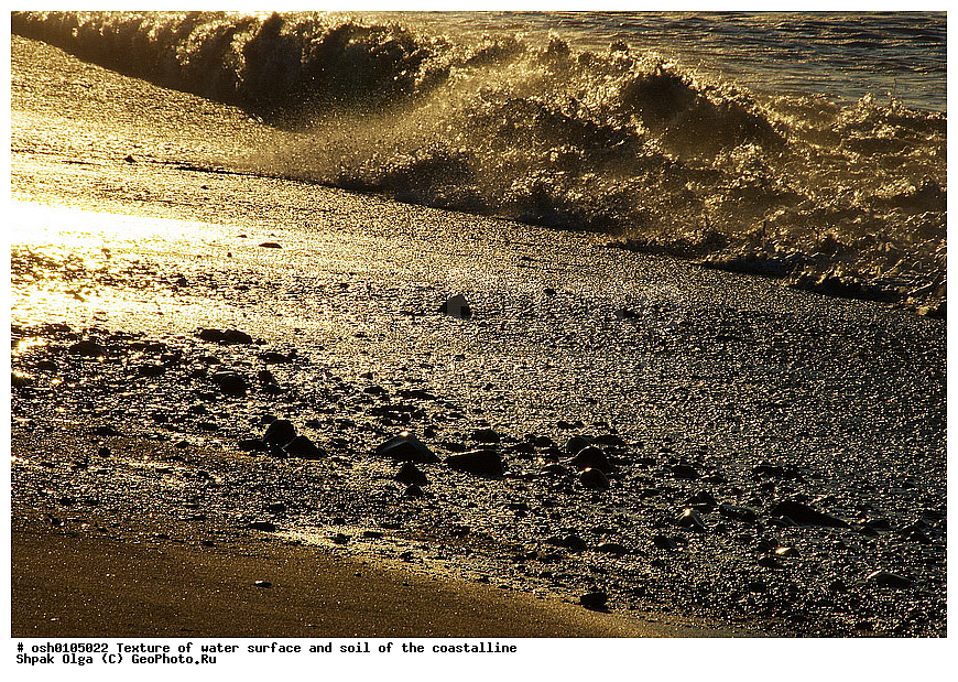 �������, �����, �����, ������ �����������, ������, �����, ��������, ����, ����, ���������� ������