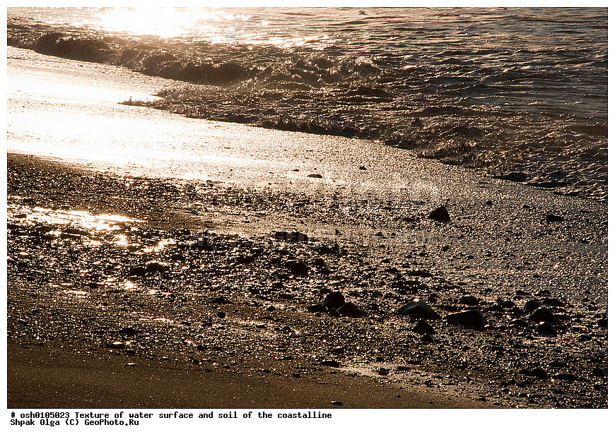 ��������, �������, �����, ������ �����������, ������, ����, ����, ������, ���������� ������