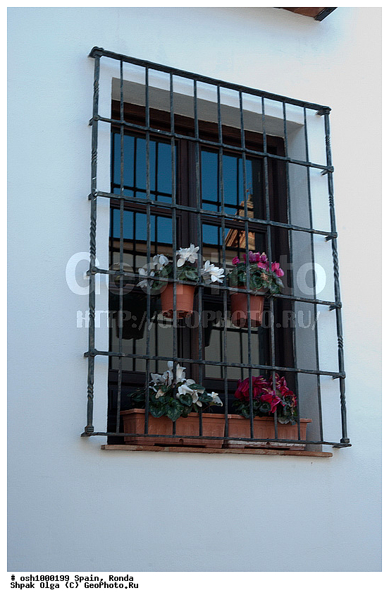 �������, �����, �����, �����, ��������� ���, ����, �������, �����