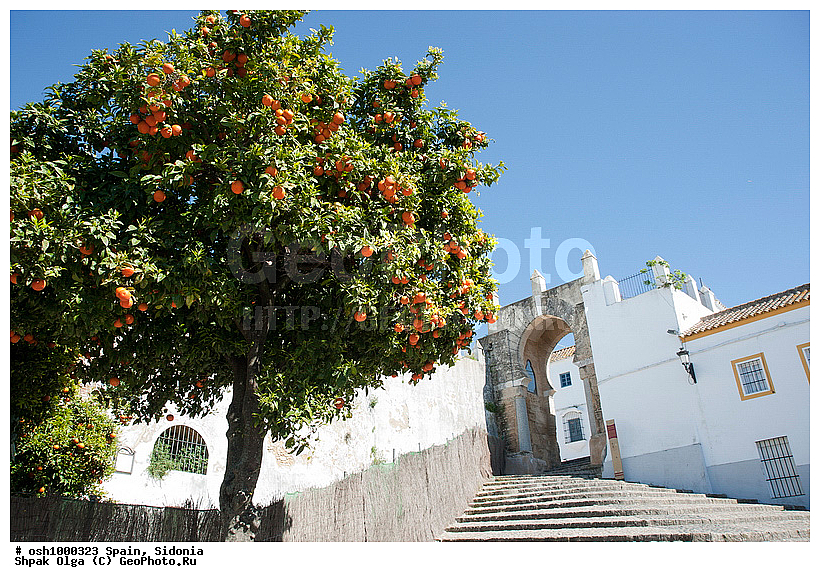 ���������, �������, �����, �������, ��������, �����, �����, ��������� ���, ������, ��������, ����