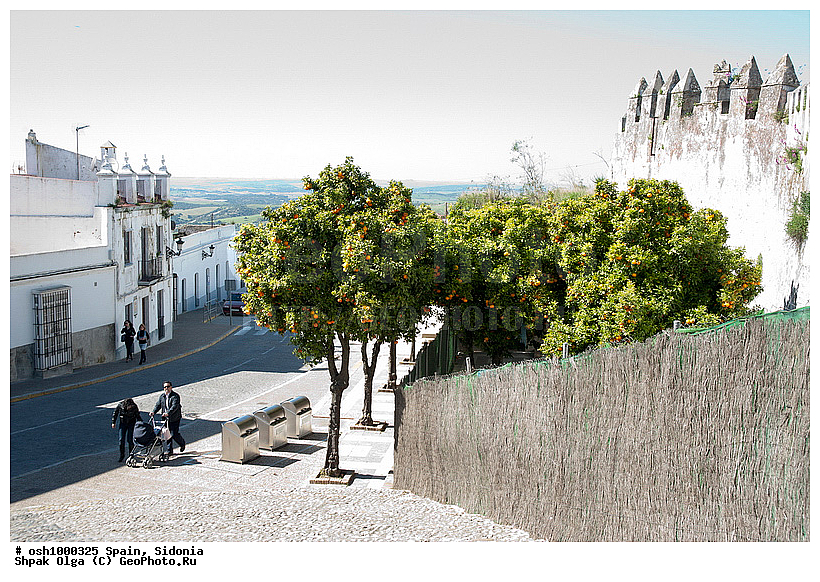 ���������, �������, �����, �������, ��������, �����, �����, ��������� ���, ������, ��������, ����