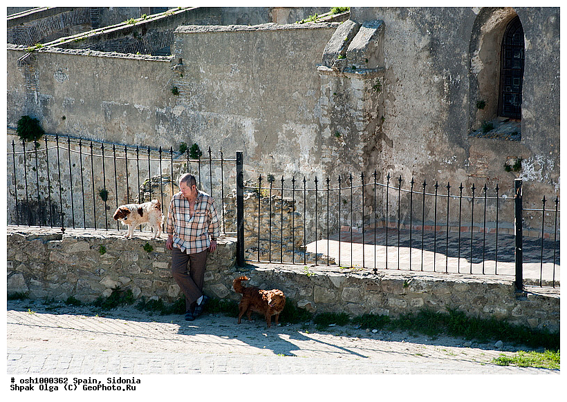 ���������, �������, �����, �������, �����, �����, ��������� ���, ��������, ����