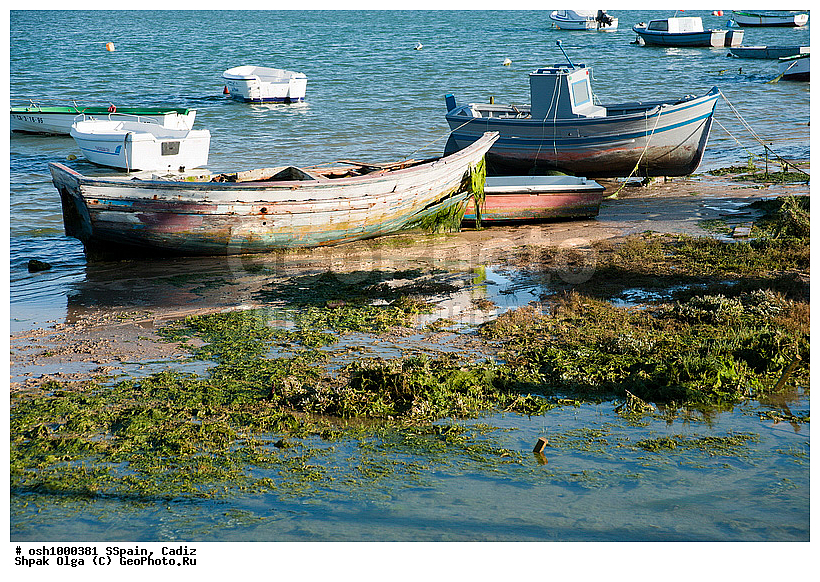 2011, �������, �����, ������, �����, �����, ��������� ���