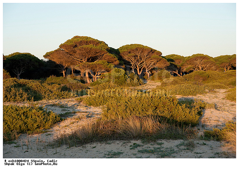 2011, �������, �����, ������, �����, �����, ��������� ���