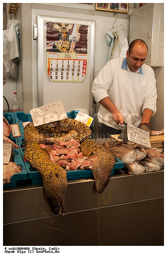 2011, �������, �����, ������, �����, �����, ��������� ���, ����������, ������������, �������, ����, ��������, ���������, ��������, ����, ������ �����, ����, ���-������