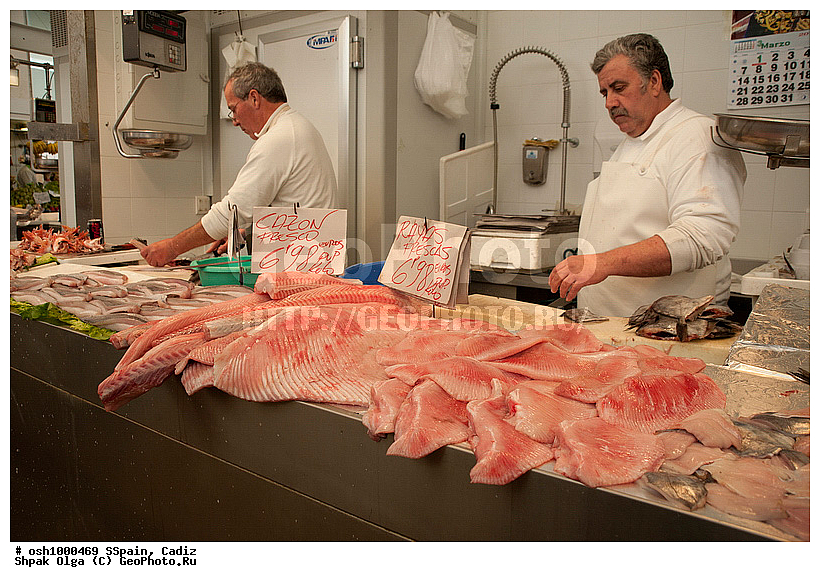 2011, �������, �����, ������, �����, �����, ��������� ���, ����������, ������������, �������, ����, ��������, ���������, ��������, ����, ������ �����, ����, ���-������