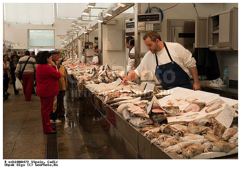 2011, �������, �����, ������, �����, �����, ��������� ���, ����������, ������������, �������, ����, ��������, ���������, ��������, ����, ������ �����, ����, ���-������