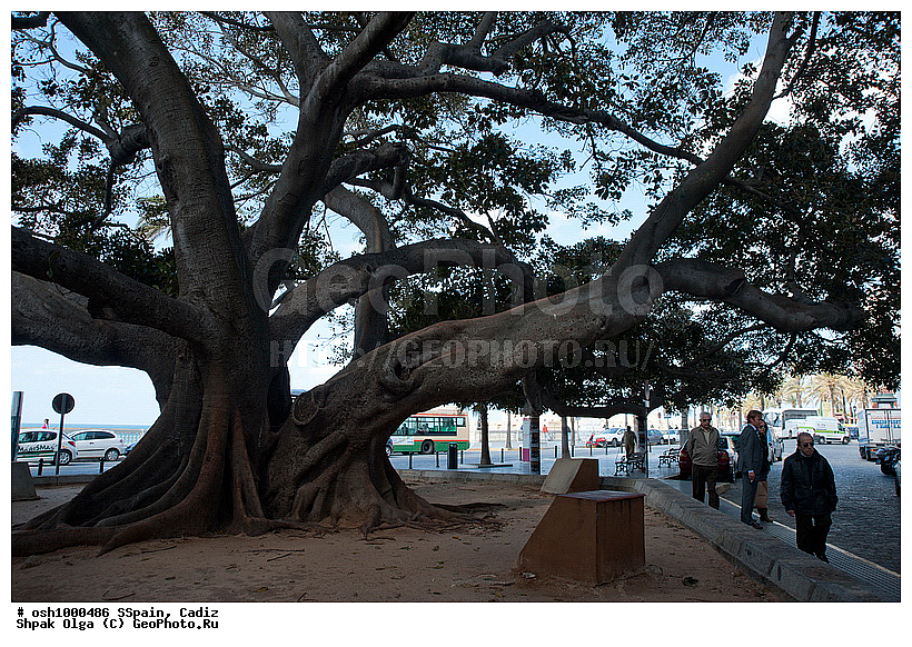 2011, �������, �����, ������, �����, �����, ��������� ���