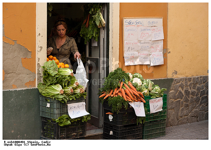 2011, �������, �����, ������, �����, �����, ��������� ���